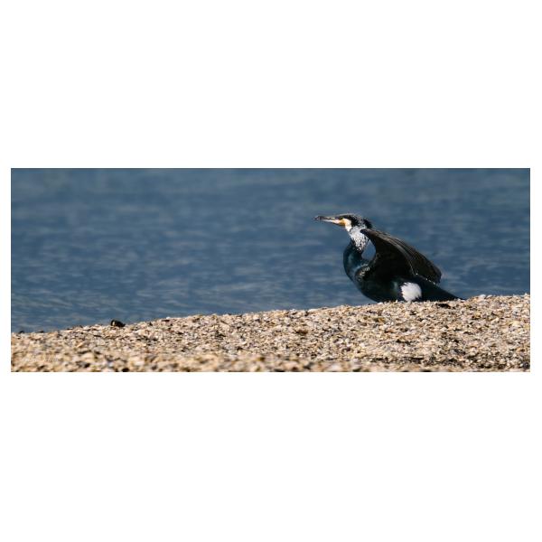 PHOTO84, CLUB, 84 , LUBERON